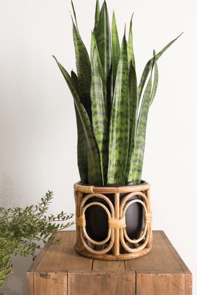 Decorative cane Planter(CP108, CP 109 and CP 110), EC 104 to EC 106