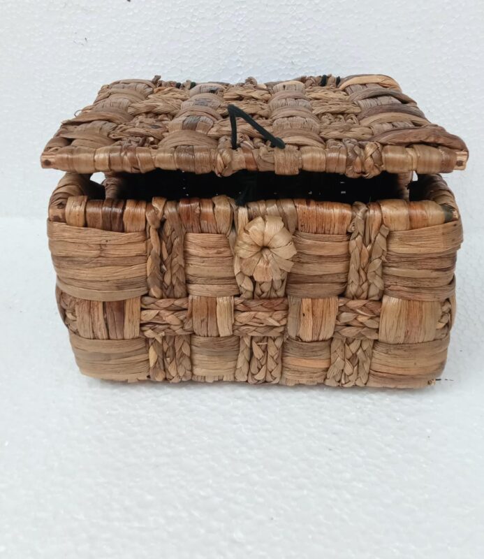 Beige - Handmade Organic Water Hyacinth Box from Assam (Small)